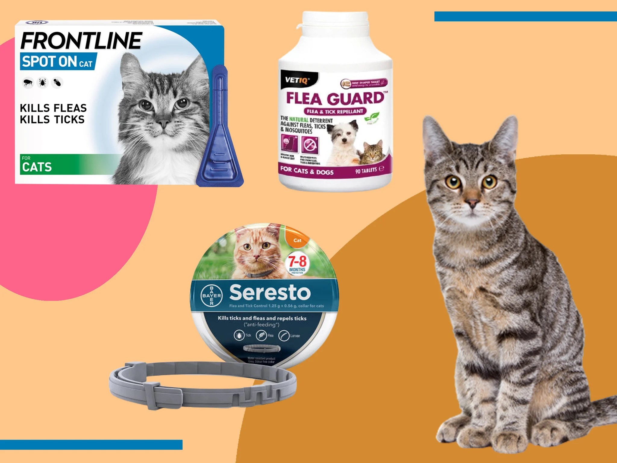 Best flea treatment for cats 2021 Vetapproved collars